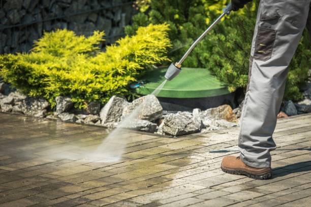 Best Animal Enclosure Cleaning  in North Bellmore, NY